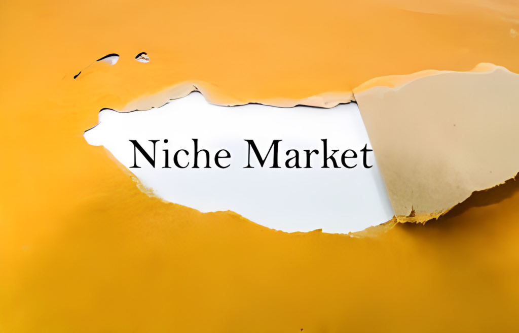 Research Your Niche And Its Market